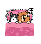 猫のプライベート・第3弾（個別スタンプ：39）