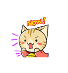 SUZU-NYAN sticker(English version)（個別スタンプ：16）