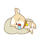 Chiwanwan sticker 1（個別スタンプ：8）