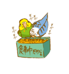 ぺっとり♪vol.01（インコ）（個別スタンプ：23）