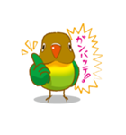 ぺっとり♪vol.01（インコ）（個別スタンプ：27）