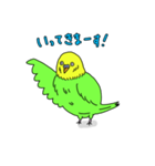 インコちゃんの人間言葉（個別スタンプ：4）