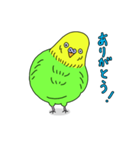 インコちゃんの人間言葉（個別スタンプ：12）