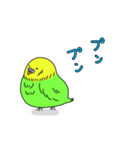 インコちゃんの人間言葉（個別スタンプ：15）