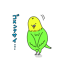 インコちゃんの人間言葉（個別スタンプ：32）