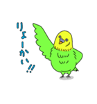 インコちゃんの人間言葉（個別スタンプ：35）