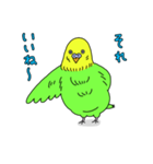 インコちゃんの人間言葉（個別スタンプ：37）