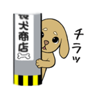 わんこもり。（個別スタンプ：1）