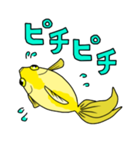 金魚！（個別スタンプ：6）