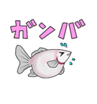 金魚！（個別スタンプ：9）