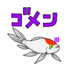 金魚！（個別スタンプ：21）