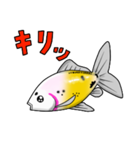 金魚！（個別スタンプ：30）