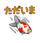 金魚！（個別スタンプ：36）