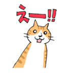 ねこ氏と仲間たち（個別スタンプ：19）