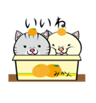 もやねこの楽しい生活。（個別スタンプ：14）