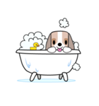 D puppy（個別スタンプ：12）