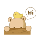 Hello bear（個別スタンプ：1）