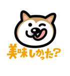 柴犬カップル（個別スタンプ：10）