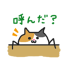 ねこむし（個別スタンプ：19）