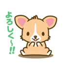 ウェルシュ・コーギー／welsh corgi（個別スタンプ：34）