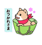 bagdog！！！（個別スタンプ：33）