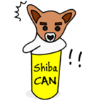 Shiba CAN ＆ Tora CAN 1 (Eng)（個別スタンプ：34）