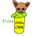 Shiba CAN ＆ Tora CAN 1 (Eng)（個別スタンプ：40）