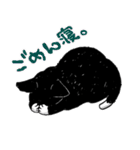 白黒ねこず（個別スタンプ：13）