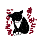 白黒ねこず（個別スタンプ：16）