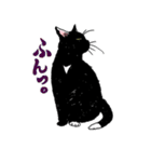 白黒ねこず（個別スタンプ：34）