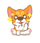 Pon Corgi（個別スタンプ：18）