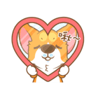 Pon Corgi（個別スタンプ：34）