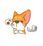 Pon Corgi（個別スタンプ：37）