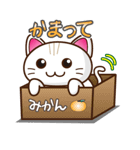 白ねこファビさん（個別スタンプ：5）