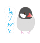 Lovely bird’s happy life（個別スタンプ：4）