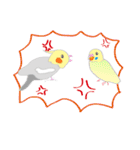 Lovely bird’s happy life（個別スタンプ：9）