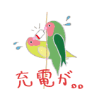 Lovely bird’s happy life（個別スタンプ：20）