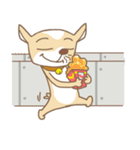 Chiwanwan sticker 3（個別スタンプ：16）