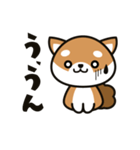 すきま柴犬（うん ver）（個別スタンプ：19）