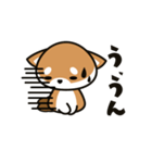 すきま柴犬（うん ver）（個別スタンプ：21）