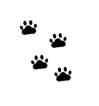 猫の手と犬の尻尾（個別スタンプ：40）