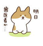 つぶやきねこ（個別スタンプ：20）