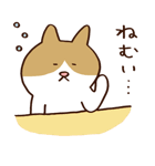 つぶやきねこ（個別スタンプ：34）