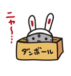 かばいいねこうさぎ（個別スタンプ：1）