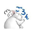 うさぎのきもち（個別スタンプ：37）