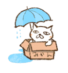 しろととらねこ（個別スタンプ：28）