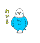 インコちゃんのオタク言葉（個別スタンプ：1）