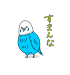 インコちゃんのオタク言葉（個別スタンプ：14）