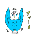 インコちゃんのオタク言葉（個別スタンプ：35）