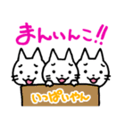 名古屋のにゃんこ（個別スタンプ：38）